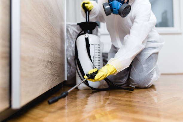 Best Best Pest Control Companies  in Georgetown, PA