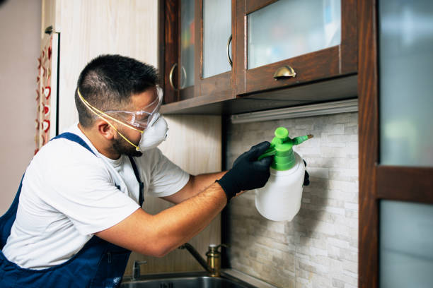 Best Best Pest Control Companies  in Georgetown, PA