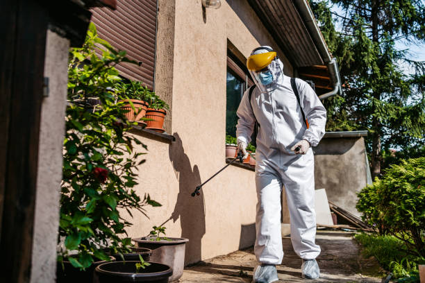 Best Bed Bug Extermination  in Georgetown, PA