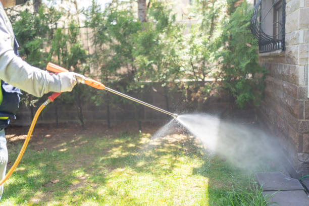 Best Cockroach Control Services  in Georgetown, PA