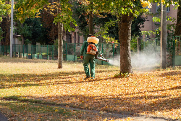 Best Rat Extermination Near Me  in Georgetown, PA