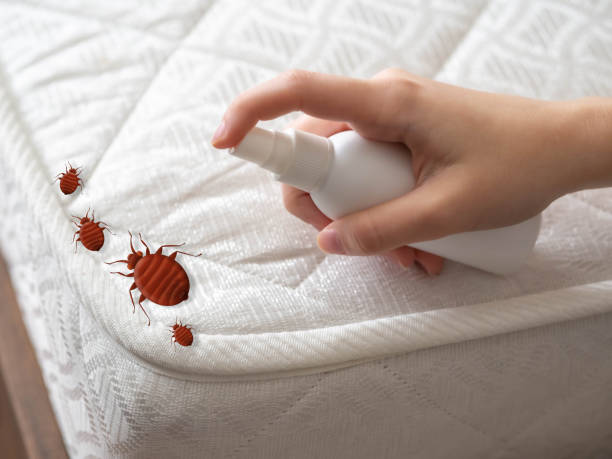 Flea Control Services in Georgetown, PA
