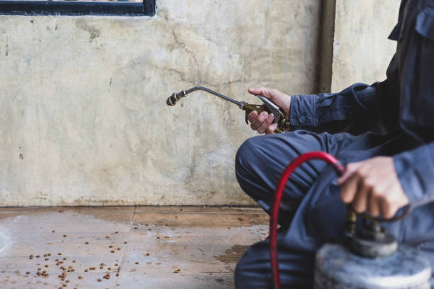 Reliable Georgetown, PA Pest Control Solutions
