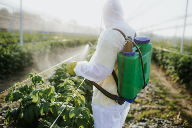 Best Wasp Removal Services  in Georgetown, PA